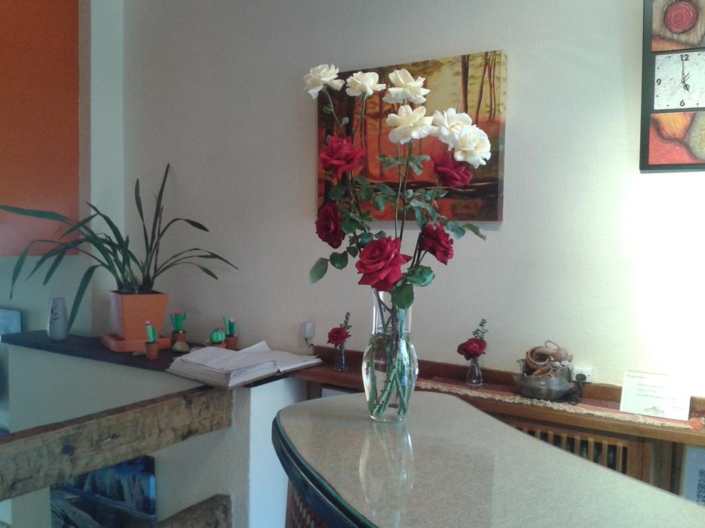 סן קרלוס דה ברילוצ'ה Hotel Aconcagua מראה חיצוני תמונה